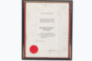 Untitled design - 2025-10-28T151928.702